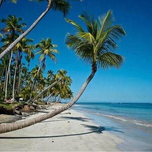 Meet your Posher, Amica